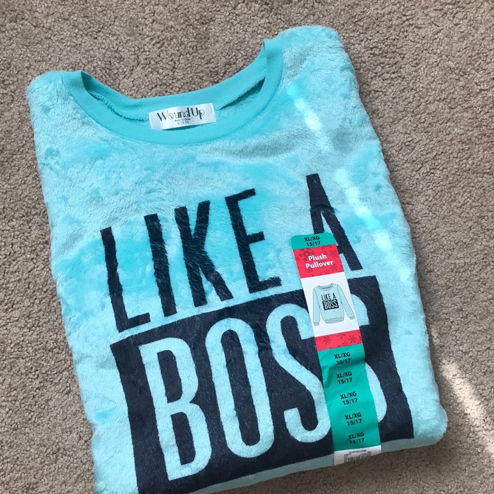 NWT✨ Mint “LIKE A BOSS” Plush Pullover